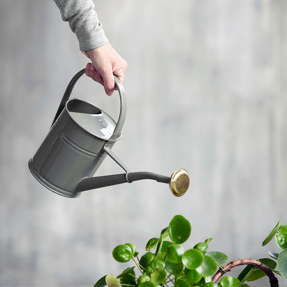 House Doctor Watering Can, Hd Wan, Grey