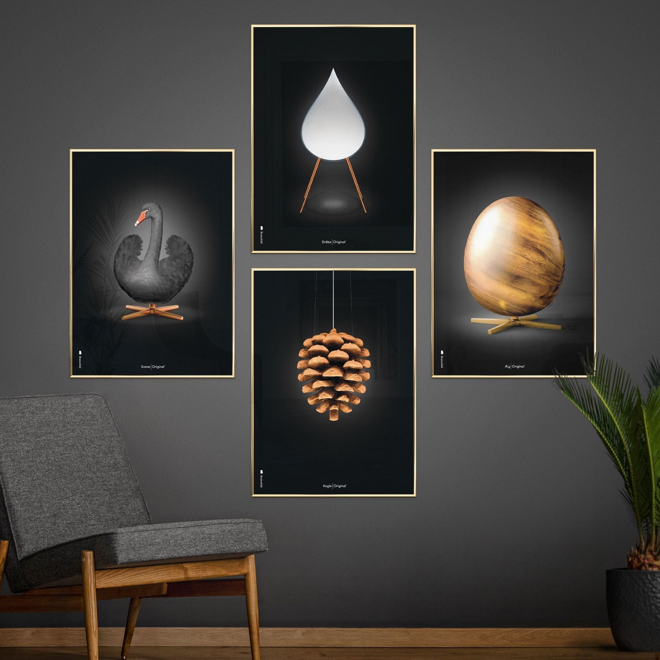 Brainchild Pine Cone Classic Poster, messingfarbener Rahmen 30x40 cm, schwarzer Hintergrund