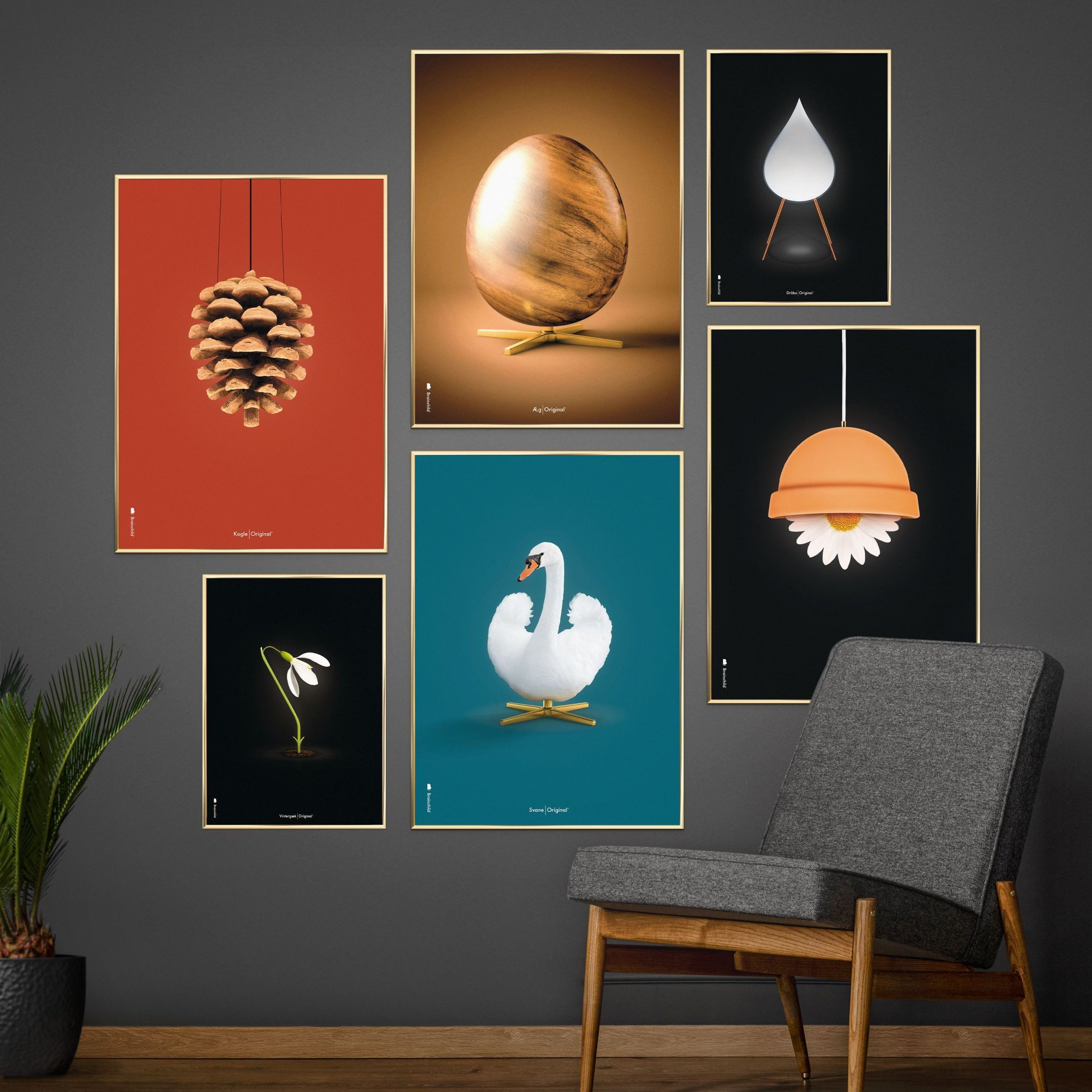 Brainchild Pine Cone Classic Poster, Frame Made Of Light Wood 30x40 Cm, Red Background