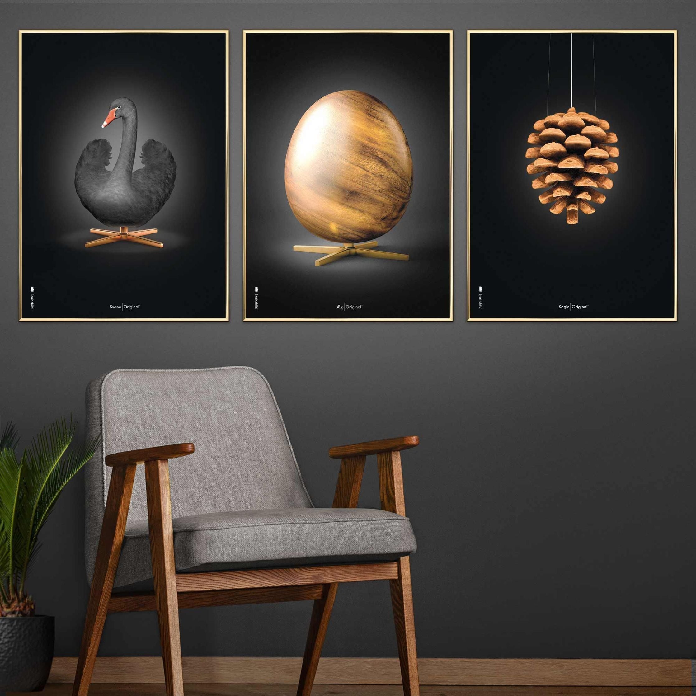 brainchild Pine Cone Classic Poster, frame gemaakt van licht hout A5, zwarte achtergrond