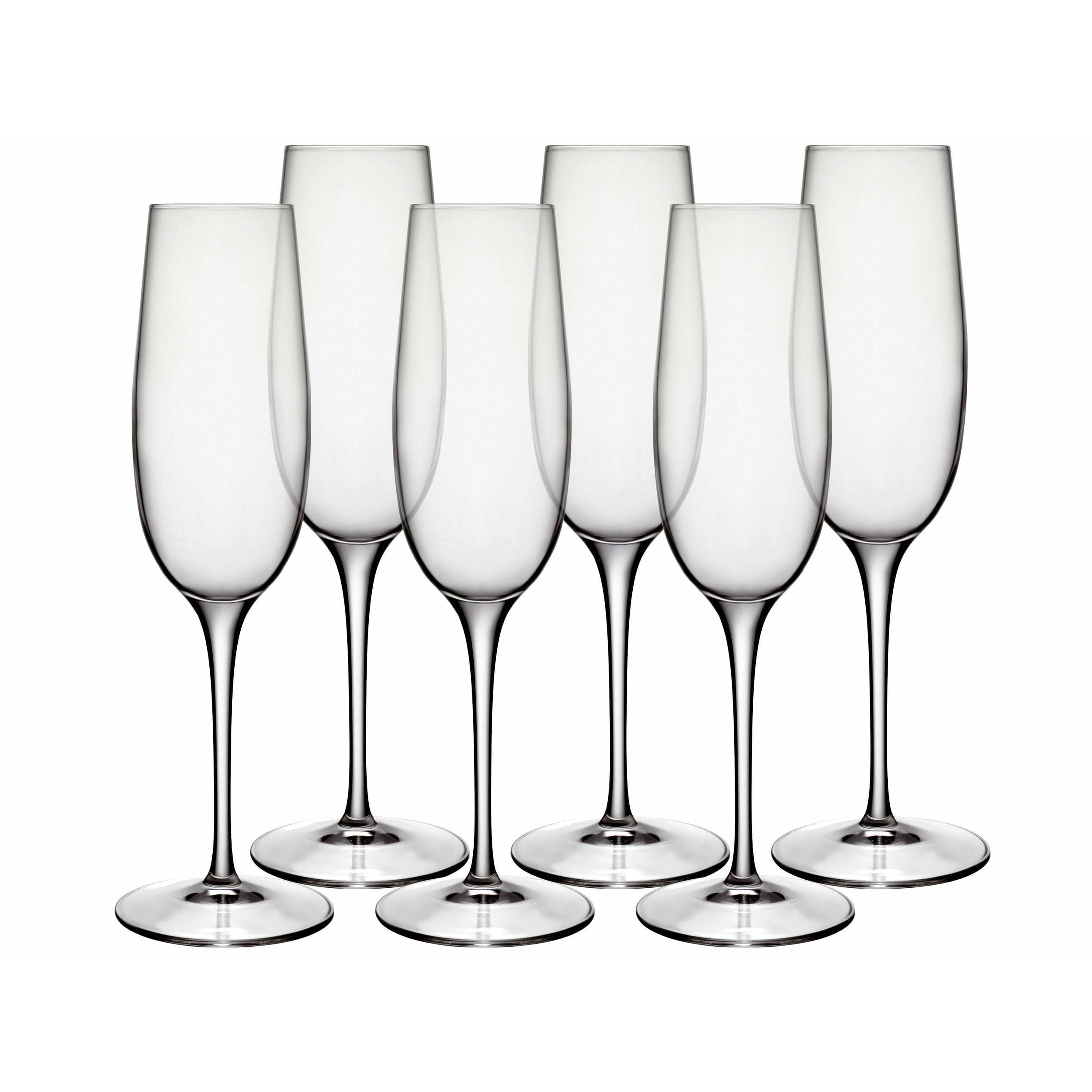 Luigi Bormioli Palace Champagne Glass, Set Of 6