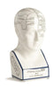 Authentic Models Phrenological Head