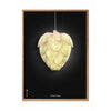  Ph Artichoke Poster Frame Made Of Light Wood 30 X40 Cm Black Background