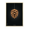  Pine Cone Classic Poster Brass Coloured Frame 30x40 Cm Black Background