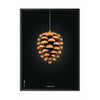  Pine Cone Classic Poster Frame In Black Lacquered Wood 30x40 Cm Black Background