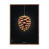  Pine Cone Classic Poster Frame Made Of Dark Wood 50x70 Cm Black Background