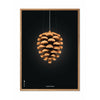  Pine Cone Classic Poster Frame Made Of Light Wood 30x40 Cm Black Background