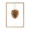  Pine Cone Classic Poster Frame Made Of Light Wood 70x100 Cm White Background