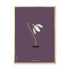  Snowdrop Classic Poster Brass Frame 30x40 Cm Purple Background