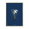  Snowdrop Classic Poster Brass Frame 50x70 Cm Dark Blue Background