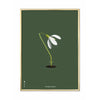 Brainchild Snowdrop Classic Poster, Brass Frame 70x100 Cm, Green Background