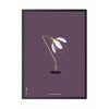  Snowdrop Classic Poster Frame In Black Lacquered Wood 30x40 Cm Purple Background