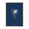  Snowdrop Classic Poster Frame Made Of Dark Wood 30x40 Cm Dark Blue Background