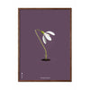  Snowdrop Classic Poster Frame Made Of Dark Wood 30x40 Cm Purple Background