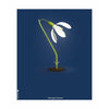  Snowdrop Classic Poster Without Frame 30x40 Cm Dark Blue Background