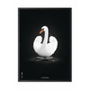  Swan Classic Poster Black Lacquered Wood Frame A5 White/White Background