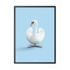  Swan Classic Poster Frame In Black Lacquered Wood 50x70 Cm Light Blue Background