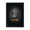 Brainchild Swan Classic Poster, Frame In Black Lacquered Wood 70 X100 Cm, Black/Black Background