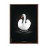  Swan Classic Poster Frame Made Of Dark Wood 30x40 Cm White/White Background