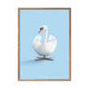  Swan Classic Poster Light Wood Frame A5 Light Blue Background