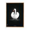  Swan Classic Poster Light Wood Frame A5 White/White Background