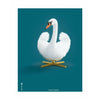  Swan Classic Poster Without Frame 70 X100 Cm Petroleum Blue Background