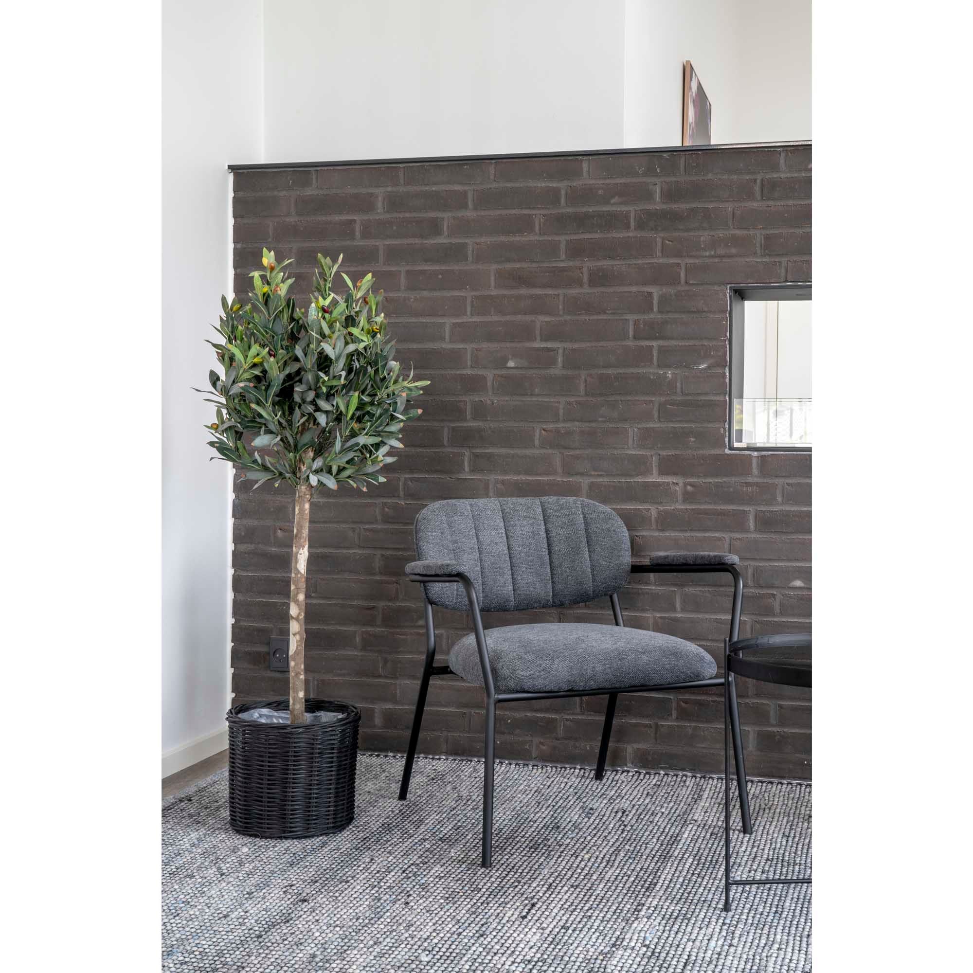 House Nordic Olive Tree