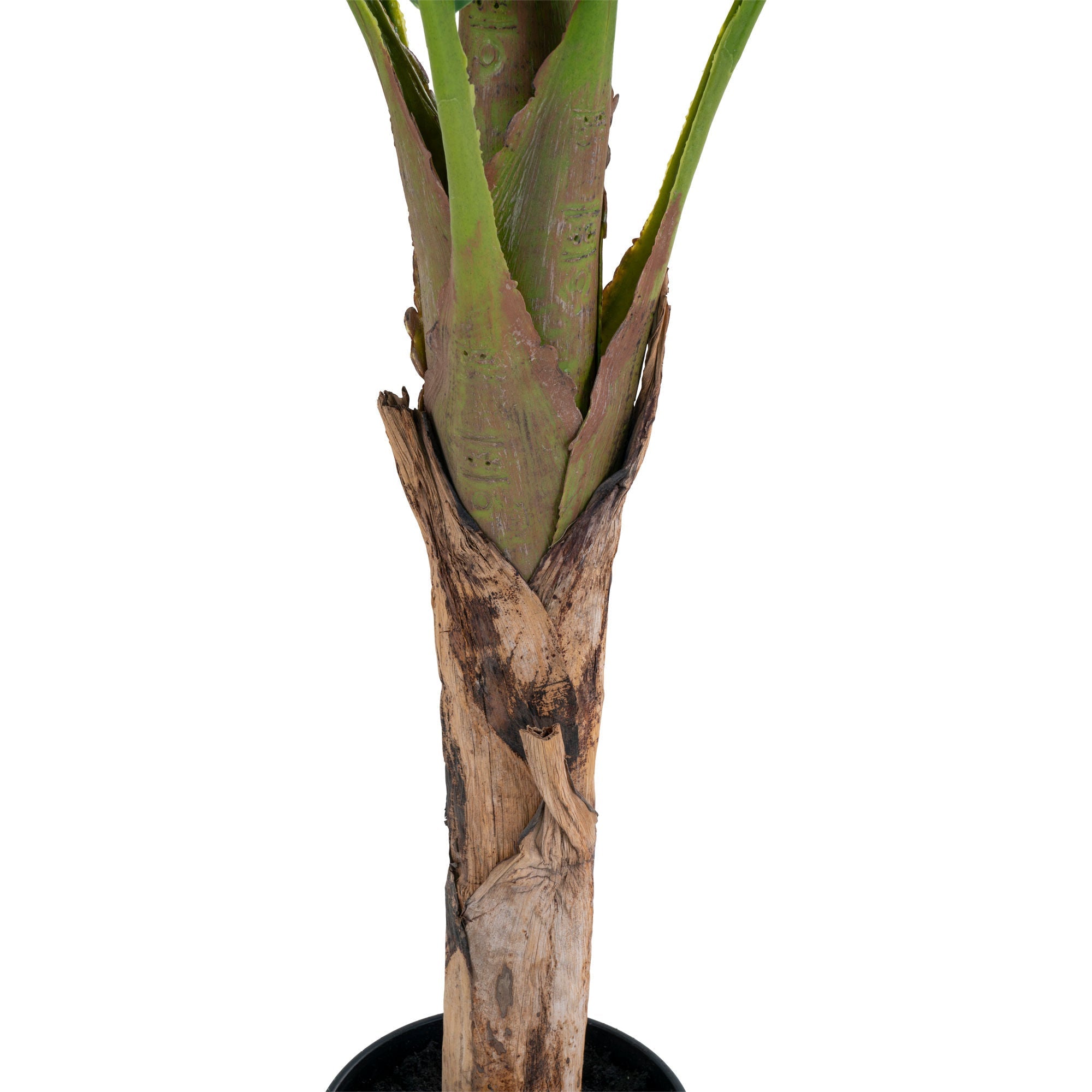 House Nordic Banana Palm