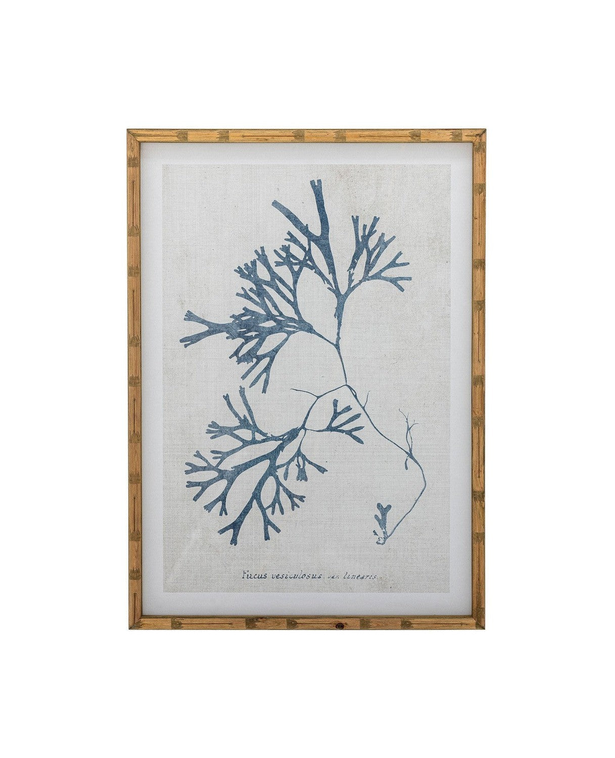 Creative Collection Sumner Illustration w/ Frame, Nature, Firwood