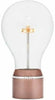 Flyte Edison Light Bulb, Single, Copper