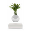 Flyte Lyfe Plant, White