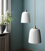  Dogu Pendant Lamp Silver