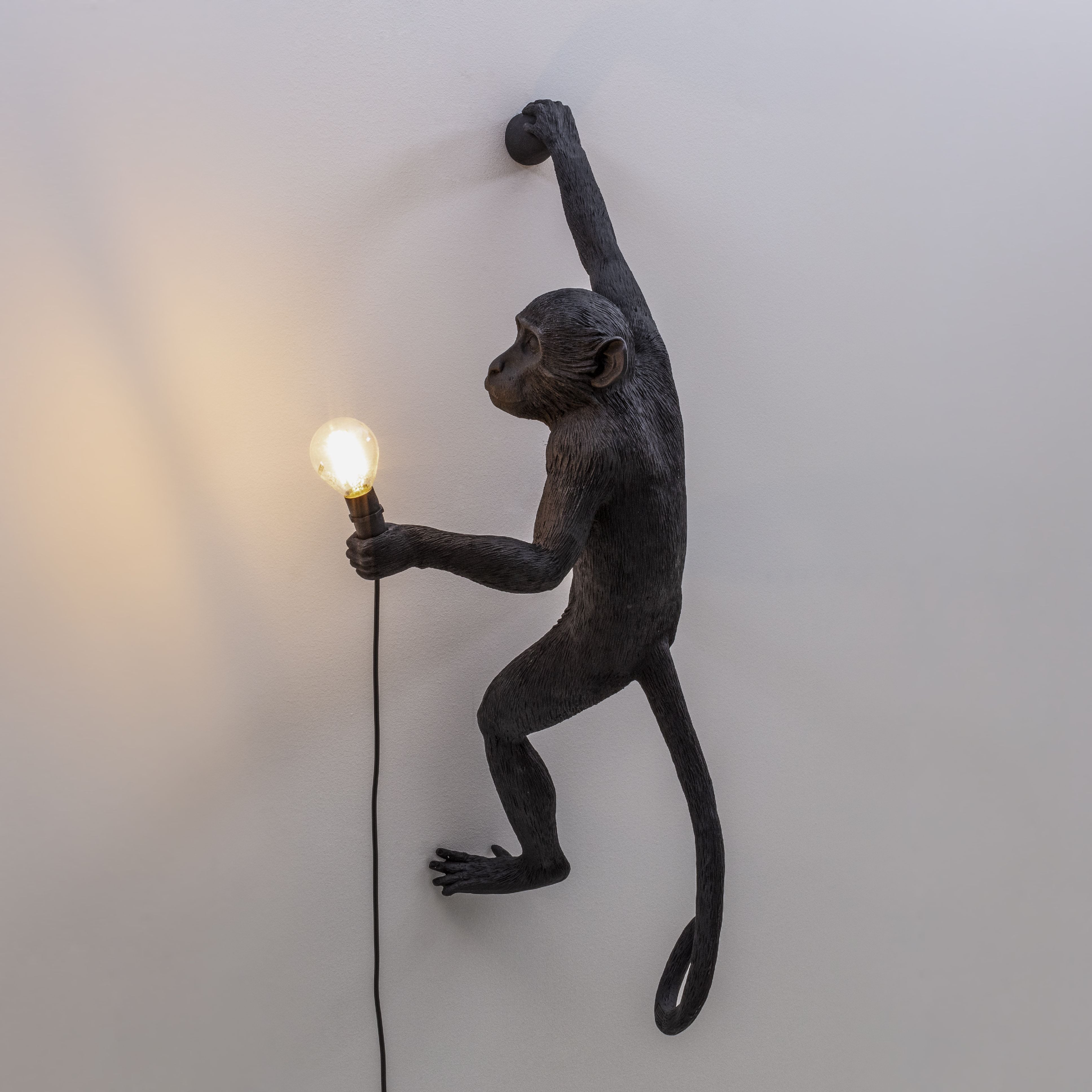 Seletti Monkey Outdoor Lamp Zwart, hangende rechterhand