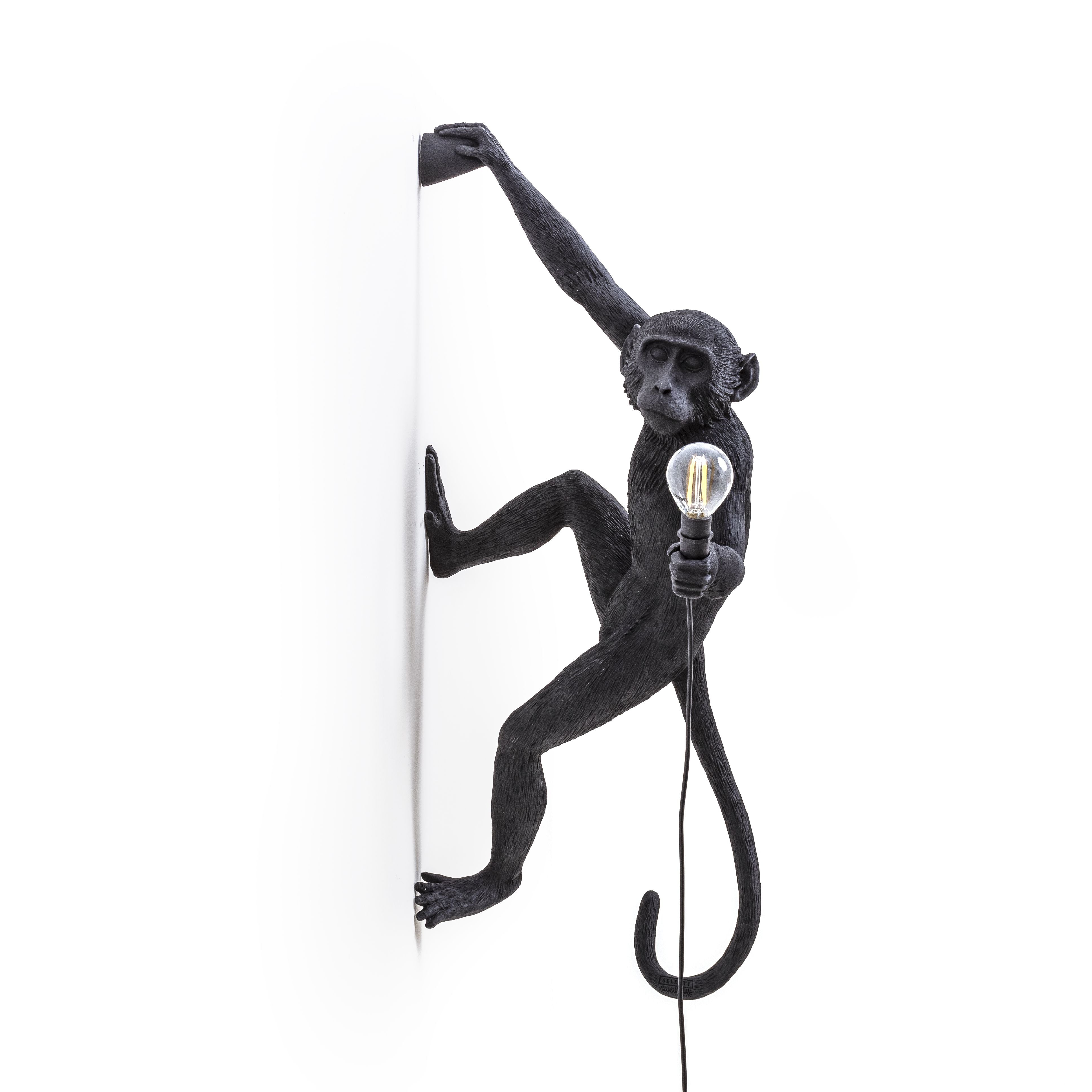 Seletti Monkey Outdoor Lamp Zwart, hangende rechterhand
