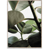  Green Home 03 Poster 50x70 Cm