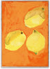 Paper Collective Lemons Poster, 50x70 Cm