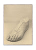  The Foot Poster 50x70 Cm