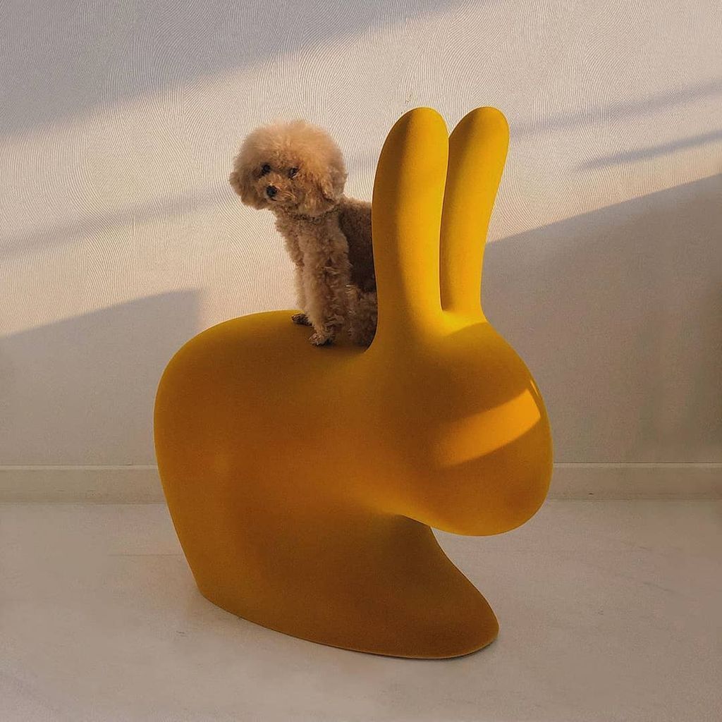 [product_category]-Qeeboo Bunny Chair Velvet Finish, Dark Gold-Qeeboo-8052049053112-90010DG-QEE-11