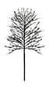 Sirius Noah Tree H220 Cm Black, 480 Le Ds