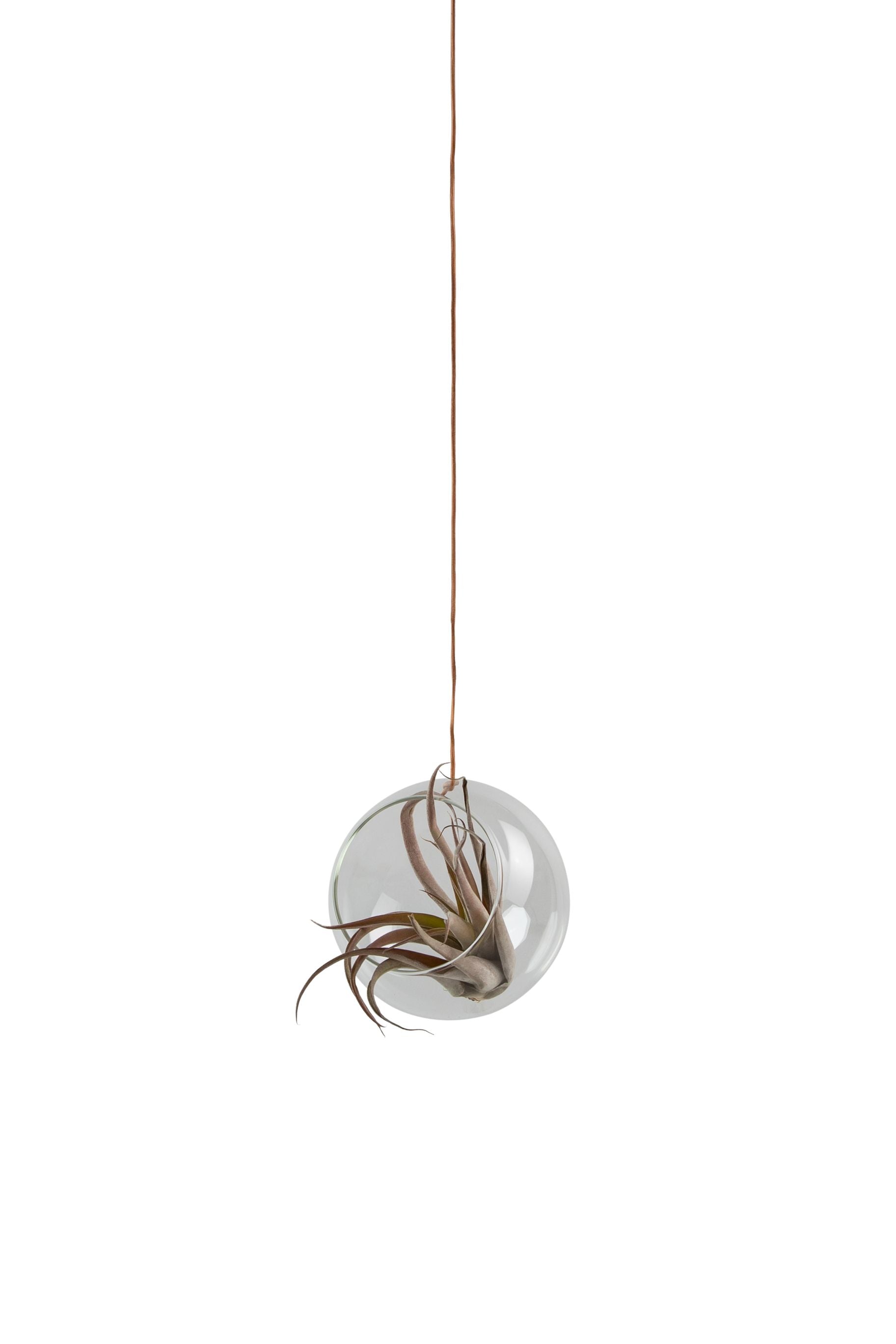 [product_category]-Studio About Hanging Plant Bubble Vase Medium, Smoke-Studio About-5714356003015-11080S-STU-1