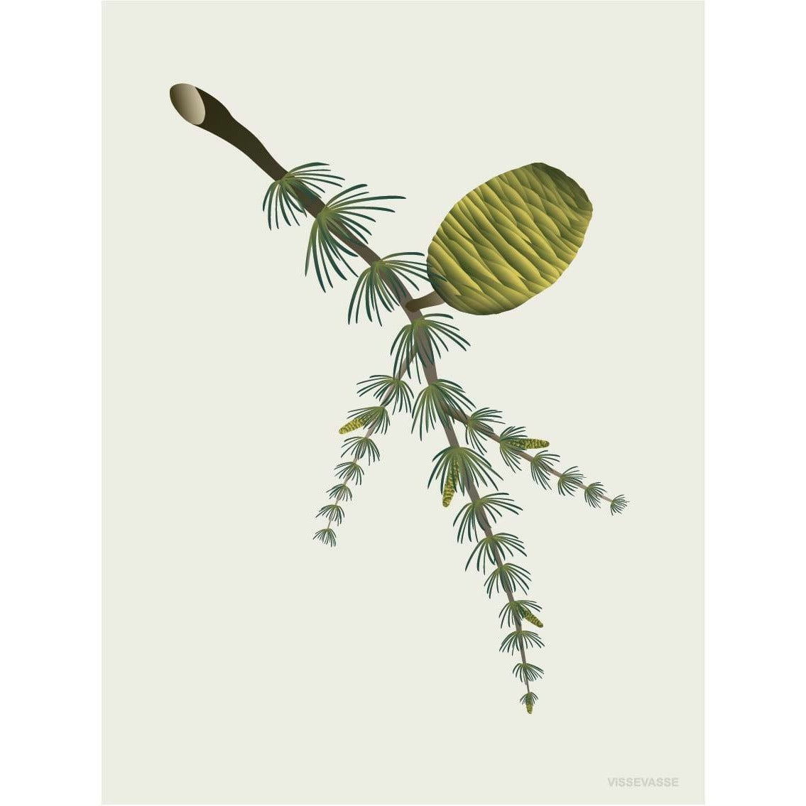 [product_category]-Vissevasse Cedar Cone Poster, 50 X70 Cm-Vissevasse-5713138719236-F-2017-192-L-VIS-1