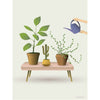  Growing Plants Poster 50 X70 Cm