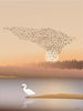  Murmuration Poster 30x40 Cm