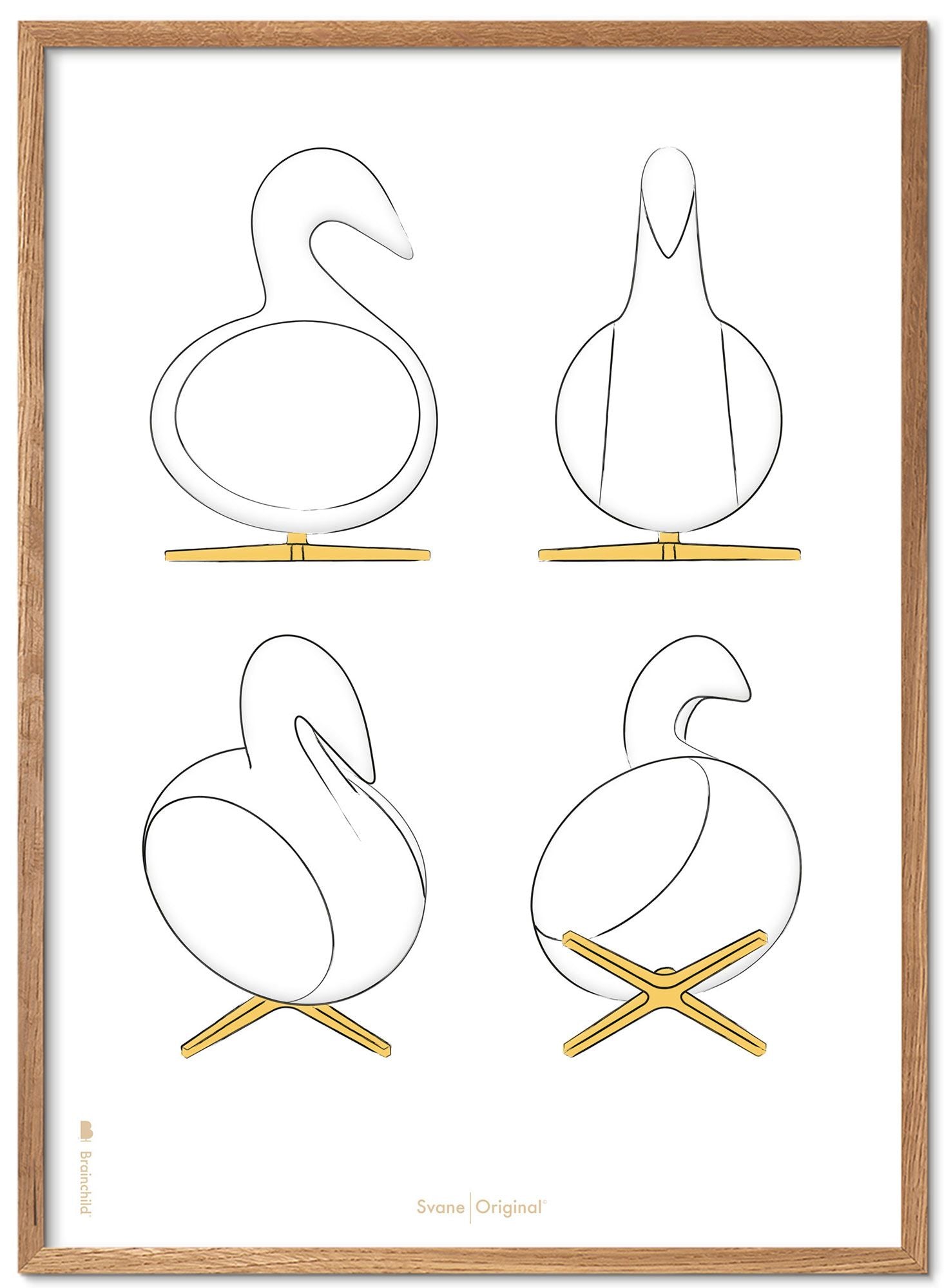 Brainchild Swan Design Schetsen Poster Frame Gemaakt Van Licht Hout 50x70 Cm, Witte Achtergrond