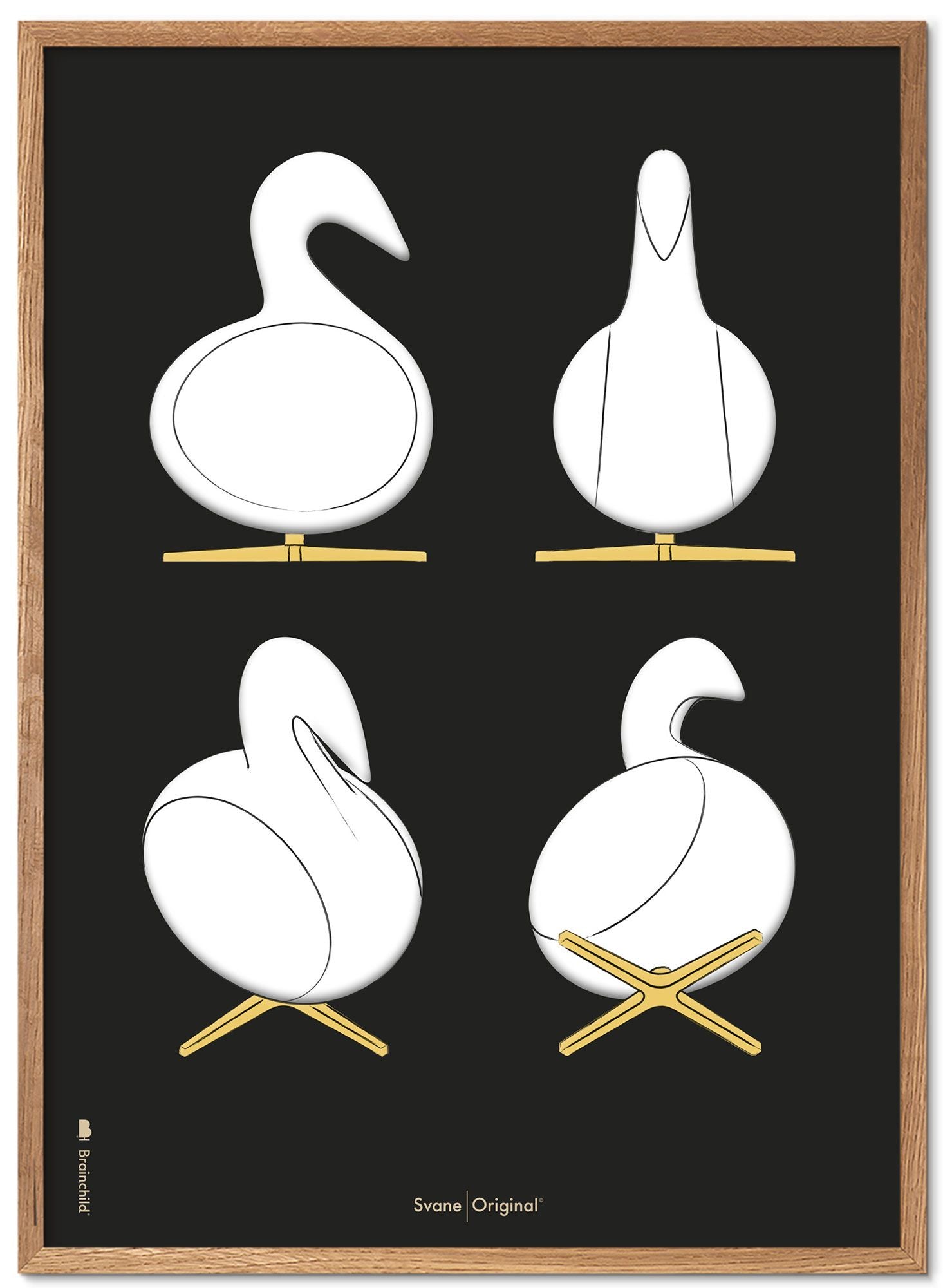 Brainchild Swan Design Schetsen Poster Frame Gemaakt Van Licht Hout 50x70 Cm, Zwarte Achtergrond