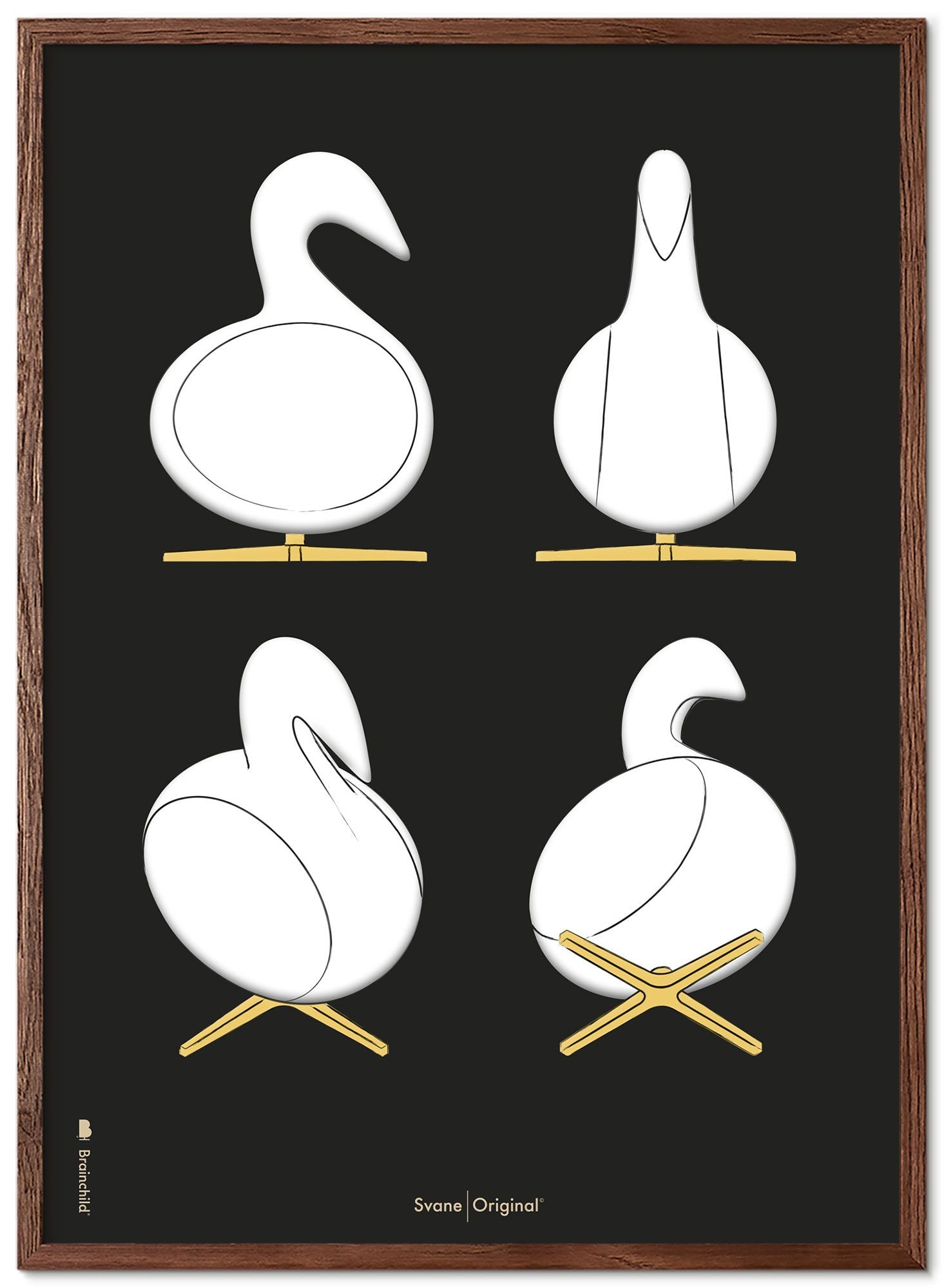 Brainchild Swan Design Schetsen Posterlijst gemaakt van donker hout 30x40 cm, zwarte achtergrond