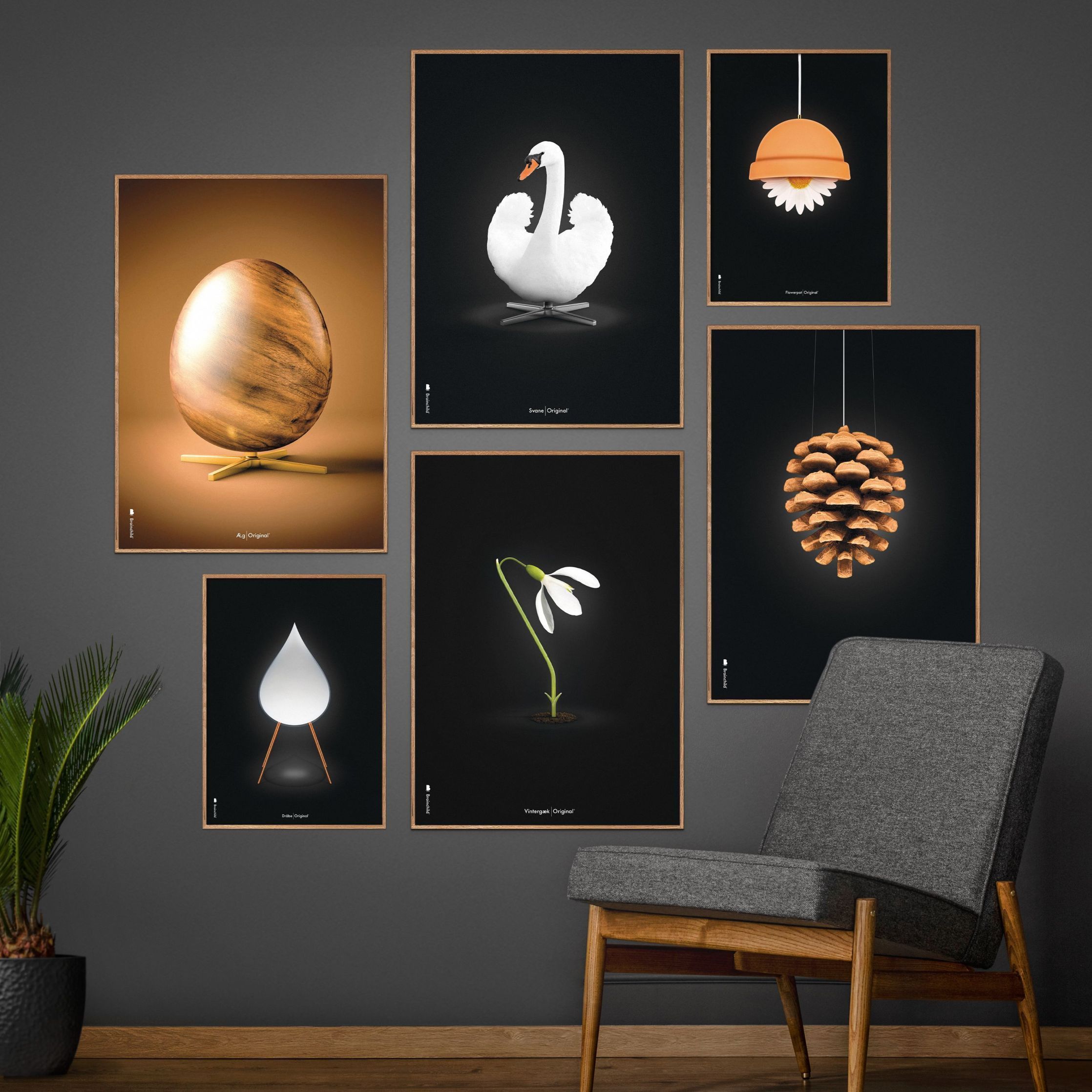 Brainchild Flowerpot Classic Poster Without Frame A5, Black Background