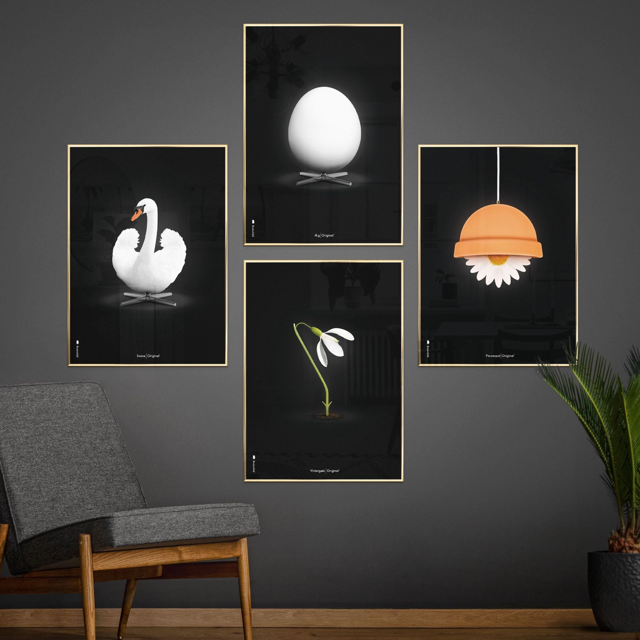 Brainchild Flowerpot Classic Poster, Frame Made Of Dark Wood 50x70 Cm, Black Background