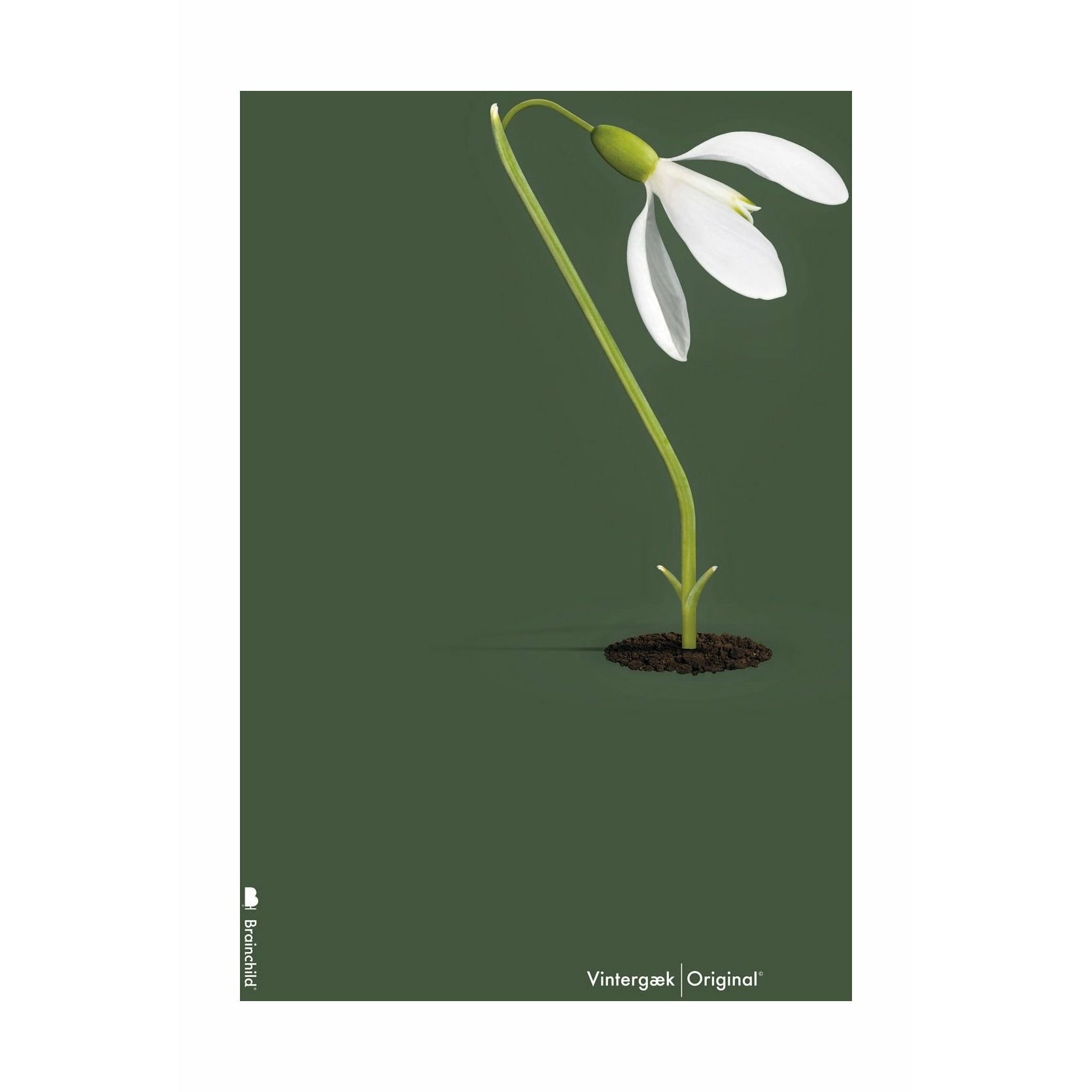 brainchild Snow -Sowall -klassisches Poster ohne Rahmen 70 x100 cm, grüner Hintergrund