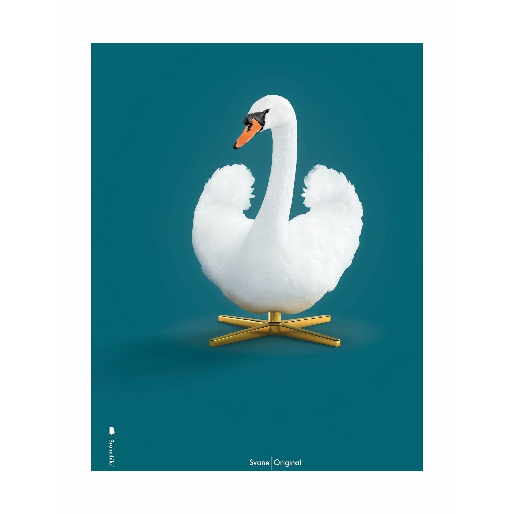 Brainchild Swan Classic Poster ohne Rahmen 30 X40 Cm, Petroleum Blau Hintergrund
